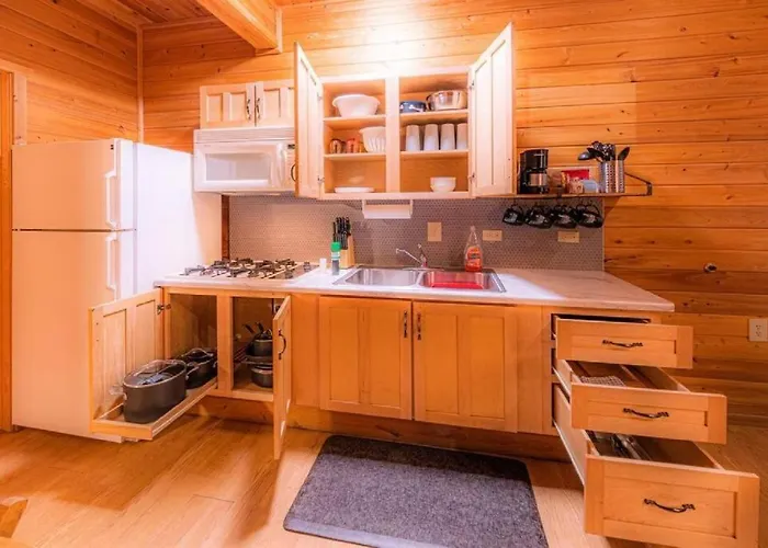 Cabin#2 Elk Hallow - Pet Friendly - Sleeps 6 - Playground & Game