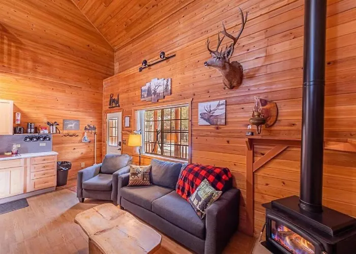 Cabin#2 Elk Hallow - Pet Friendly - Sleeps 6 - Playground & Game